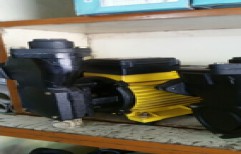 House Water Motor by Aruna Pumps & Spares