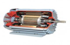 Induction Motor by Elite Electricals