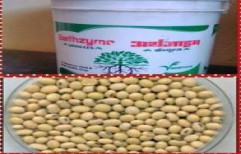 Soybean Seed by STC Crop Care