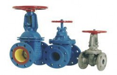 Gate Valve by Maimoon Enterprises