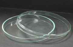 Glass Petri Dishes by The Precision Scientific Co