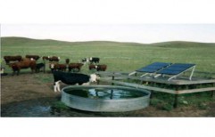 Solar Animal Drinking Water & Irrigation System by Vishwjeet Green Power Technology Pvt. Ltd.