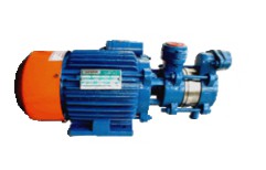 Water Pump-Delux - 90 - 1 Hp S.s. by Rama Electricals