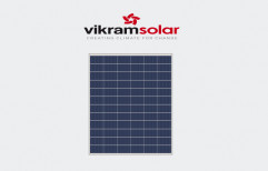 Poly Crystalline Manual 75W Vikram Solar Panel, 0.70 A by Sunshade Energy Private Limited
