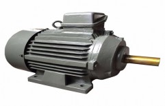 Three Phase Electric Motor by Shree Ram Electricals