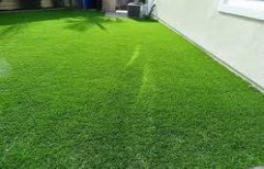 Artificial Grass by Floor Studio