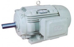 Induction Motors by Hanuman Power Transmission Equipments Private Limited