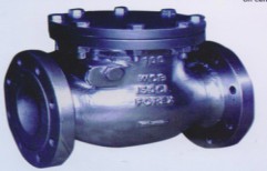 Industrial Swing Check Valve by Forex Engineers