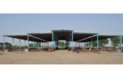 MS Dairy Farm Sheds by Yash Enterprises