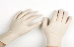 Surgical Hand Gloves by Shiva Industries