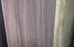 Wooden laminated sheet by Vijay Ply & Laminate