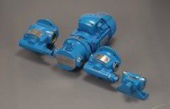 Rotary Trochoidal Gear Pump by Delta PD Pumps Private Limited