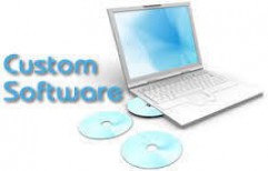 Custom Software Development by Anthem Global Technology Services Private Limited