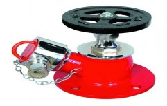 SS Hydrant Valve by S S Safety Systems