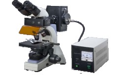 Fluorescence Microscope by Aarson Scientific Works