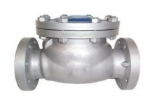 Swing Check Valve by Vijay Laxmi Engineering Private Limited
