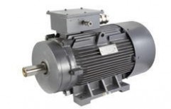 Naval And Marine Duty Motor by Laxmi Hyd Private Limited