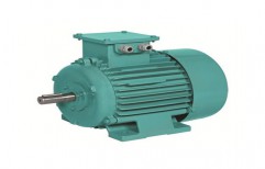 AC Induction Motor by Momai Manufacturing