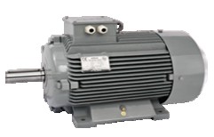 AC Induction Electric Motor by Shree Motors