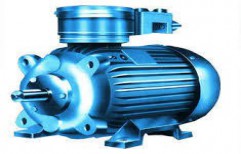 Flame Proof Motors by Motors Pumps & Spare