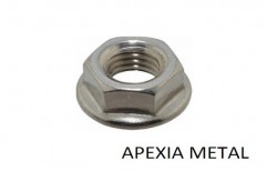 Flange Nut by Apexia Metal