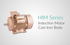 Induction Motor by Hindustan Pumps And Electrical Engineering Pvt Ltd.
