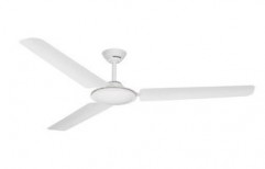 Striker Neo White Fan by Kalp Electricals