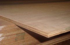 Waterproof Plywood by Nirmit Enterprises