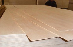 Semi Waterproof Plywood by Nirmit Enterprises