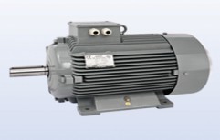 AC Induction Electric Motor by Sabar Export Ind. P. Ltd