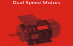 Dual Speed Motors by Motors Pumps & Spare