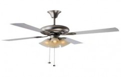 Fontana Orchid Steel 1200 Fan by Kalp Electricals