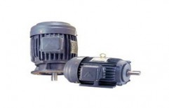 Induction Motor by Loaded Electric Company