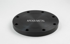 HDPE Blind Flange by Apexia Metal