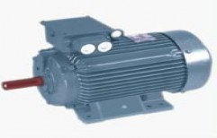 Squirrel Cage Induction Motor by Gellco Pumps