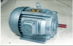 AC Induction Motors by Anil Pumps Private Limited