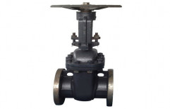Cast Steel Gate Valve by Flowtech Fluid Systems Private Limited