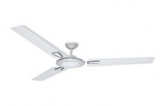 Electrical Ceiling Fan by Shiv Nath Electric Co.