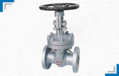 Gate Valves by Mackwell Pumps & Controls