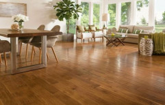 Maple Wooden Flooring by Universal Associates