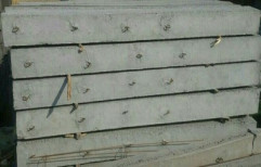 RCC Wire Fencing Poles by M/S Amit Hatwal Sanitary & Building Material Trading Co.