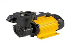 Single Phase Monoblock Pump by Pumps Care