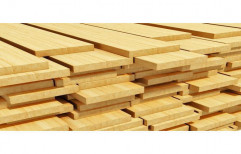 Teak Timber Wood by Skaav Luxury Interiors LLP