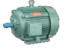 Three Phase Induction Motors by Ruba Electricals
