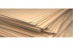 Timber Plywood by Mittal Ashish Timber Traders