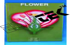 Typical Flower by Edutek Instrumentation