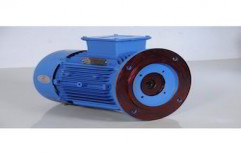 Vertical Hollow Shaft Motor by Royal Industries