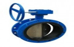 Butterfly Valve by All Flow Pumps & Engineers