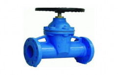 Cast Iron Valves by C. B. Trading Corporation