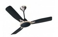 Ceiling Fans - Aggnus Primus by Crompton Limited